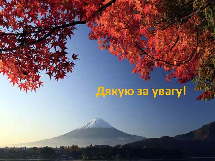 Дякую за увагу! 