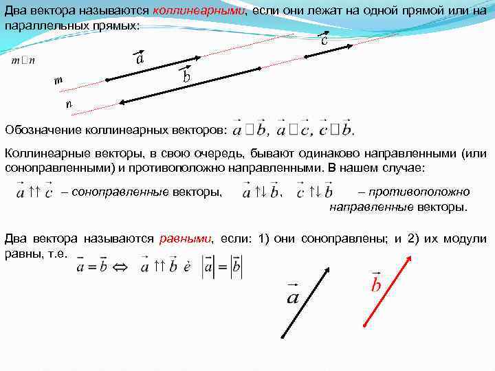 Вектор 1 2 коллинеарен векторам