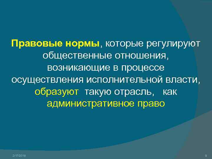 Правовые нормы, которые регулируют общественные отношения, возникающие в процессе осуществления исполнительной власти, образуют такую