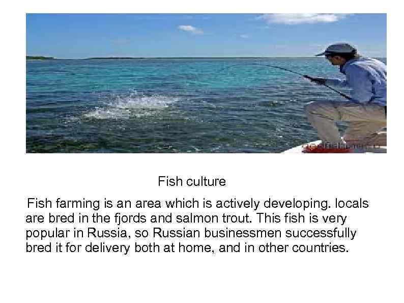 Fish culture Fish farming is an area which is actively developing. locals are bred