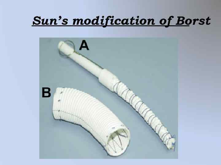Sun’s modification of Borst 