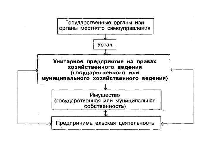 Фонды курсовая