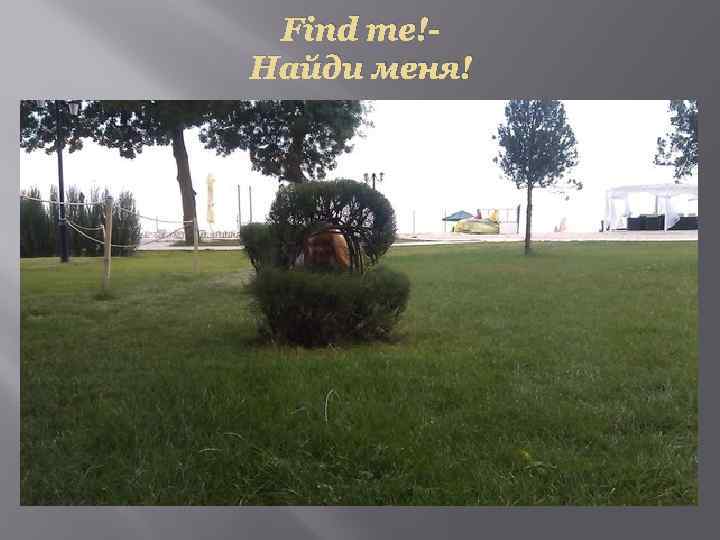 Find me!Найди меня! 