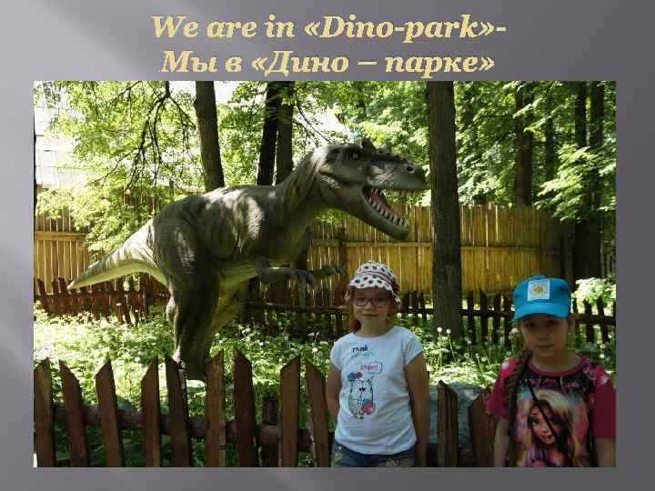 We are in «Dino-park» Мы в «Дино – парке» 