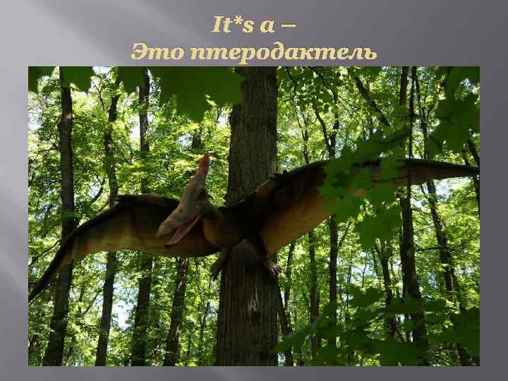 It*s a – Это птеродактель 