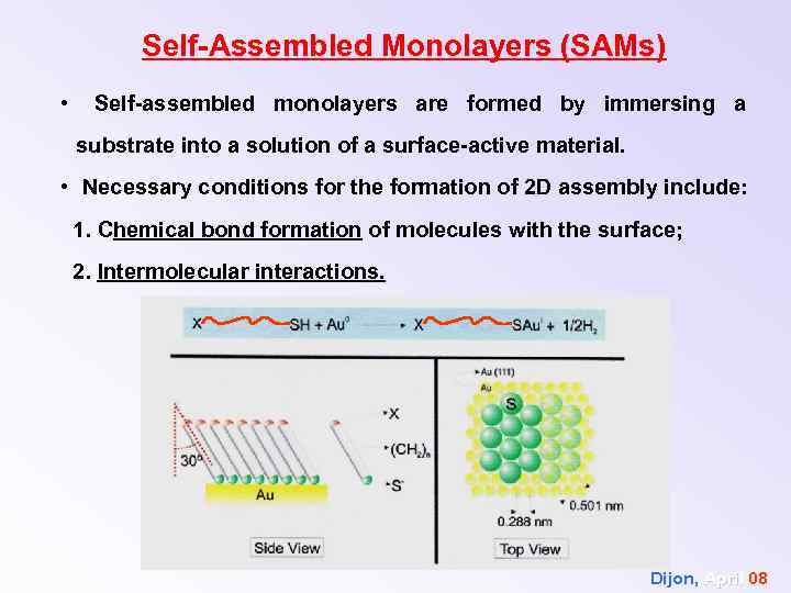 Self-Assembled Monolayers (SAMs) • Self-assembled monolayers are formed by immersing a substrate into a