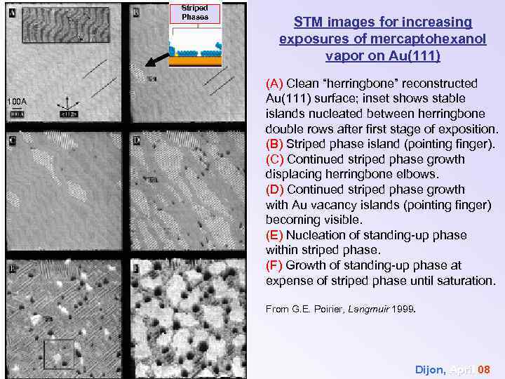 Striped Phases 100 A STM images for increasing exposures of mercaptohexanol vapor on Au(111)