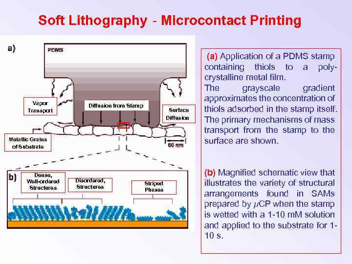 Soft Lithography - Microcontact Printing Vapor Transport Diffusion from Stamp Surface Diffusion Metallic Grains