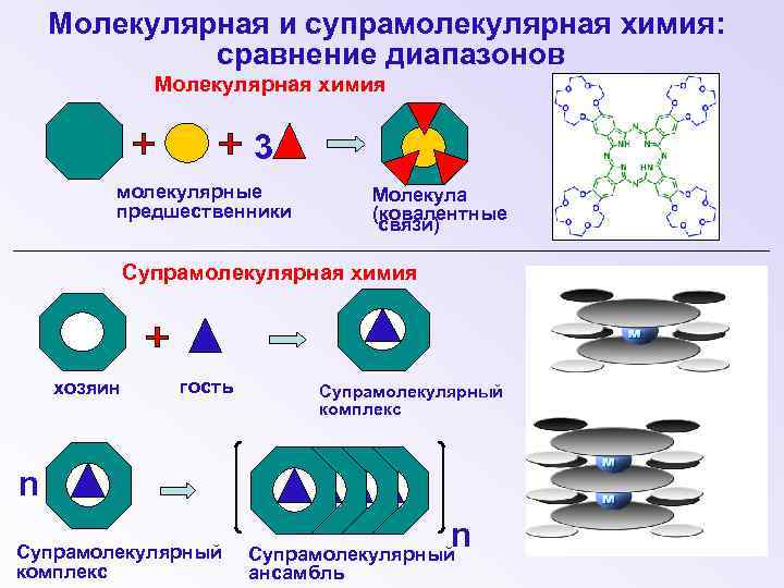 Молекулярная и супрамолекулярная химия: сравнение диапазонов Молекулярная химия 3 молекулярные предшественники Молекула (ковалентные связи)