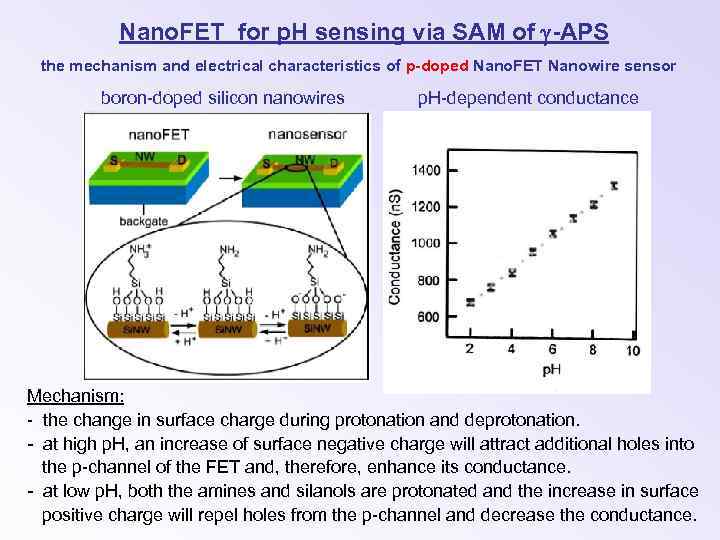 Nano. FET for p. H sensing via SAM of -APS the mechanism and electrical