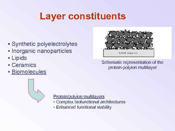 Layer constituents • Synthetic polyelectrolytes • Inorganic nanoparticles • Lipids • Ceramics • Biomolecules