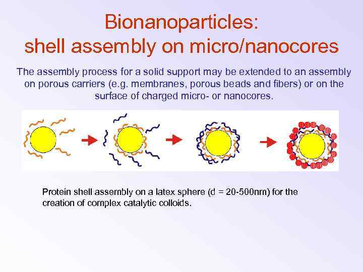 Bionanoparticles: shell assembly on micro/nanocores The assembly process for a solid support may be