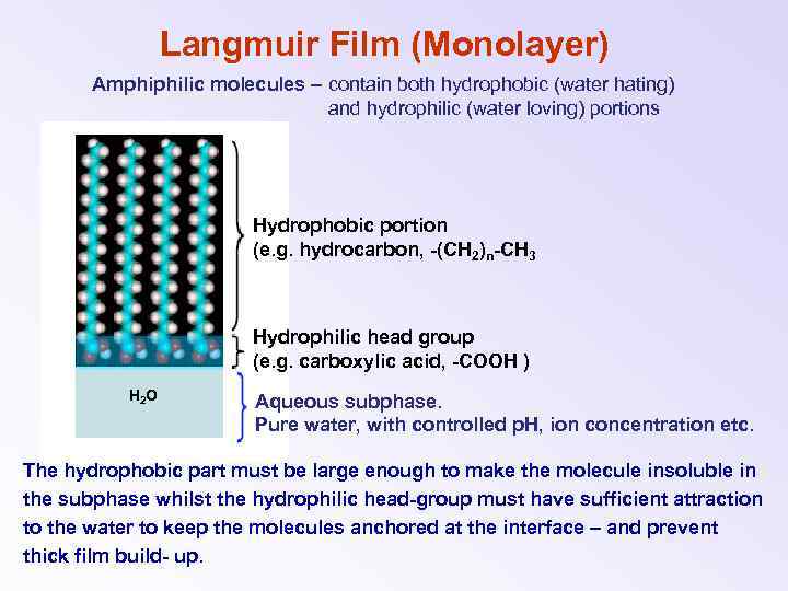 Langmuir Film (Monolayer) Amphiphilic molecules – contain both hydrophobic (water hating) and hydrophilic (water