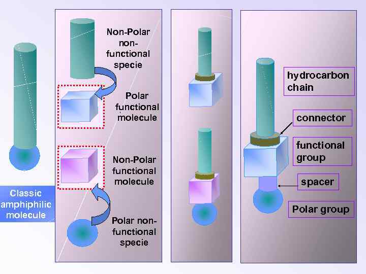 Non-Polar nonfunctional specie Polar functional molecule Non-Polar functional molecule Classic amphiphilic molecule hydrocarbon chain