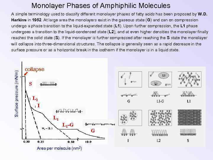 Monolayer Phases of Amphiphilic Molecules Surface pressure (m. N/m) A simple terminology used to