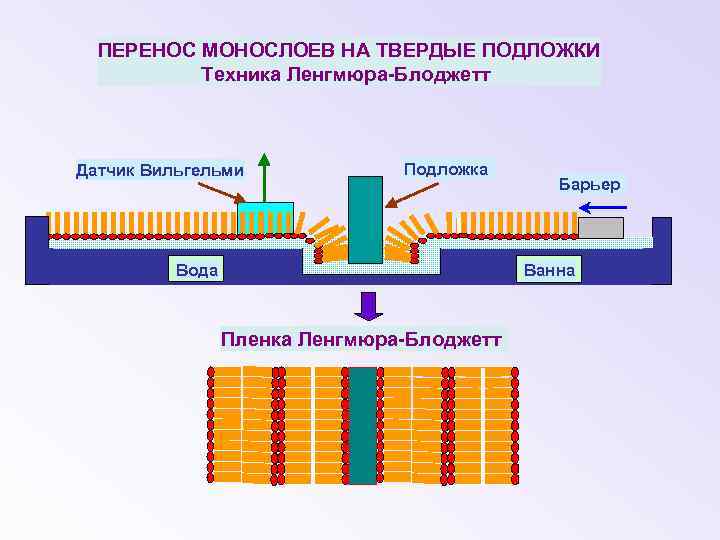 ПЕРЕНОС МОНОСЛОЕВ НА ТВЕРДЫЕ ПОДЛОЖКИ Техника Ленгмюра-Блоджетт Датчик Вильгельми Подложка Вода Барьер Ванна Пленка