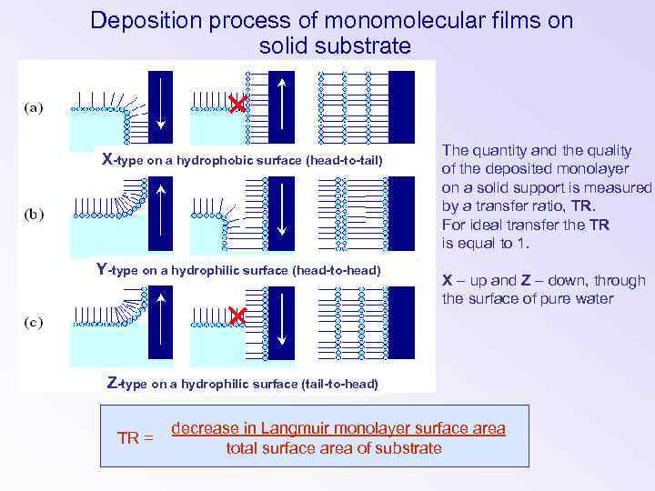 Deposition process of monomolecular films on solid substrate X-type on a hydrophobic surface (head-to-tail)