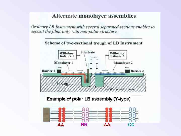 Example of polar LB assembly (Y-type) AA BB AA CC 