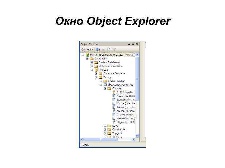Окно Object Explorer 