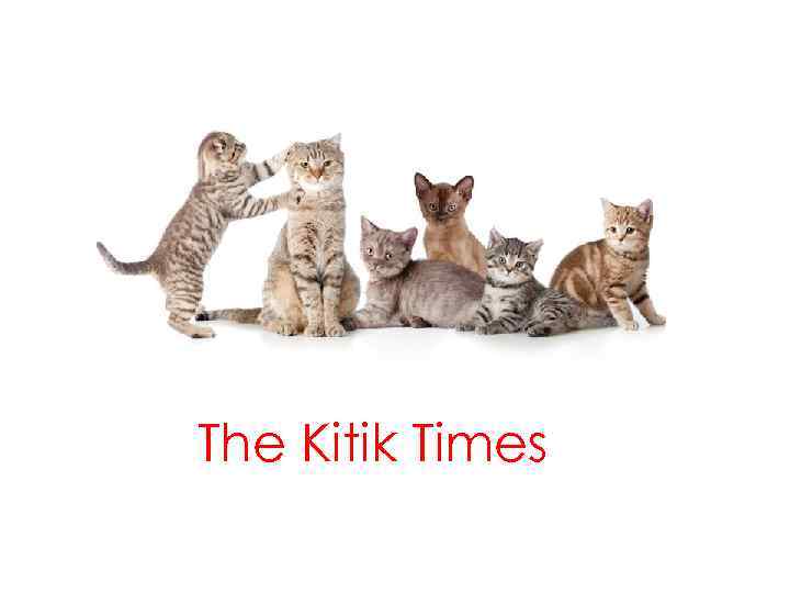 The Kitik Times 