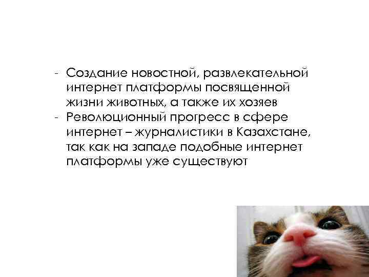 - Создание новостной, развлекательной интернет платформы посвященной жизни животных, а также их хозяев -