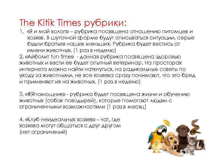 The Kitik Times рубрики: 1. «Я и мой холоп» – рубрика посвящена отношению питомцев