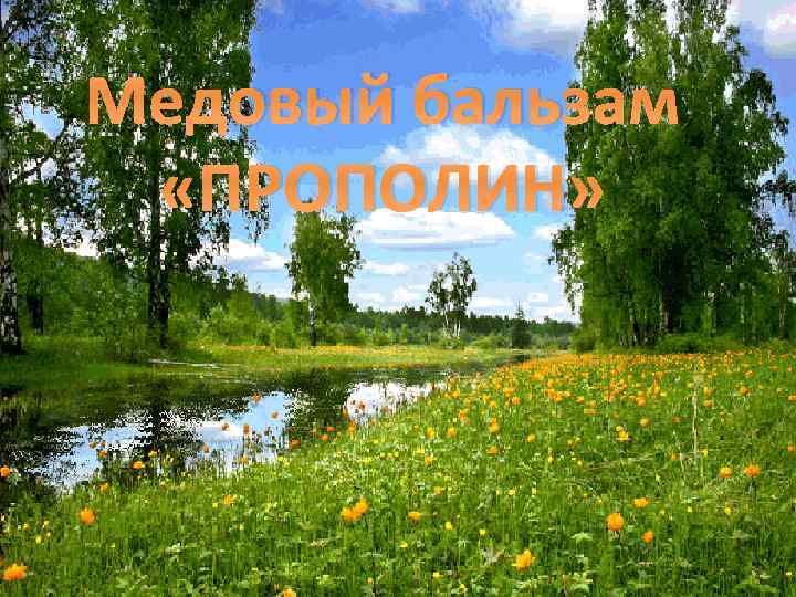 Медовый бальзам «ПРОПОЛИН» 