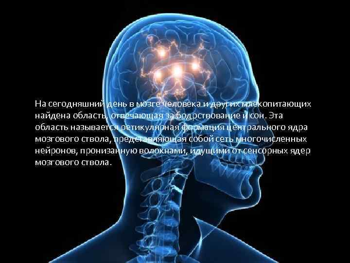 На сегодняшний день в мозге человека и других млекопитающих найдена область, отвечающая за бодрствование