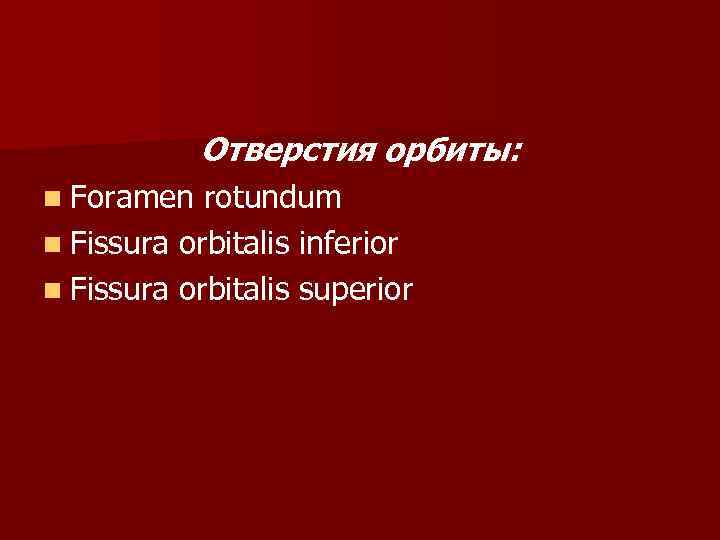 Отверстия орбиты: n Foramen rotundum n Fissura orbitalis inferior n Fissura orbitalis superior 