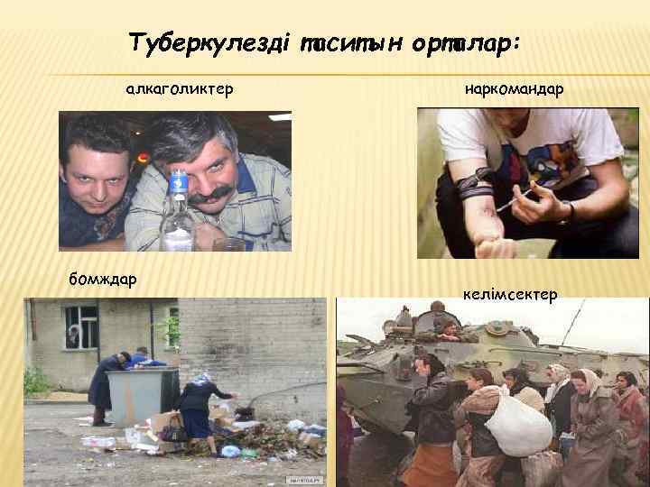 Туберкулезді таситын орталар: алкаголиктер бомждар наркомандар келімсектер 