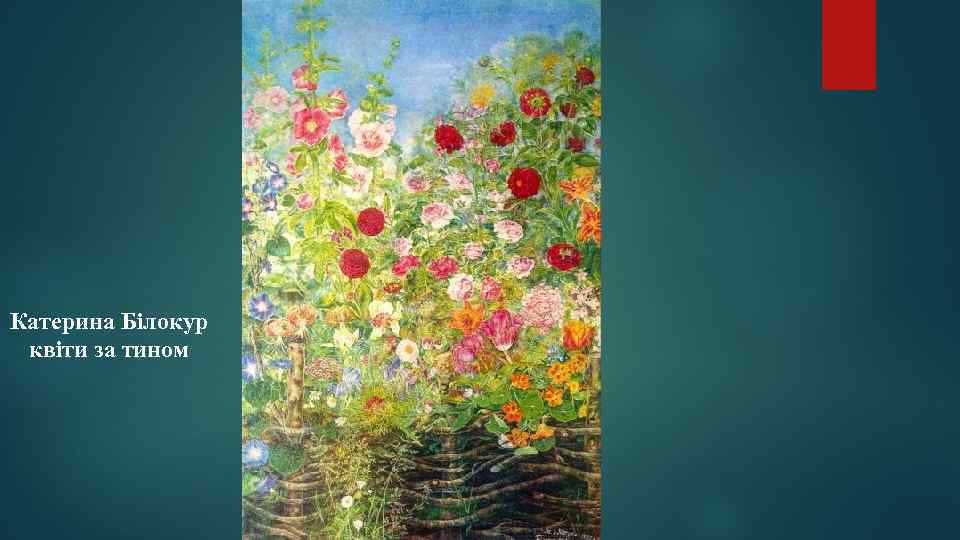 Катерина Білокур квіти за тином 