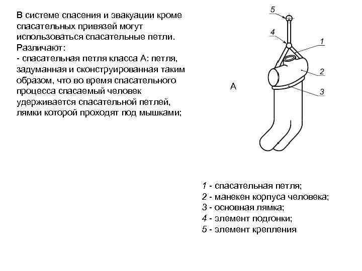 В системе спасения и эвакуации кроме спасательных привязей могут использоваться спасательные петли. Различают: -
