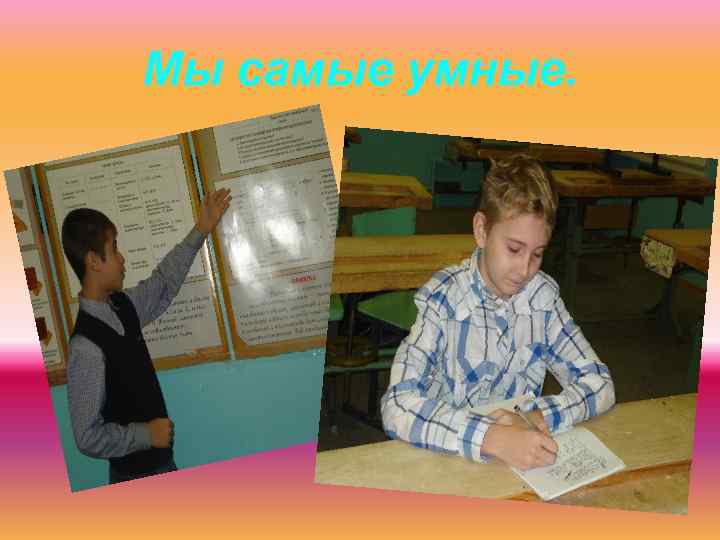 Мы самые умные. 