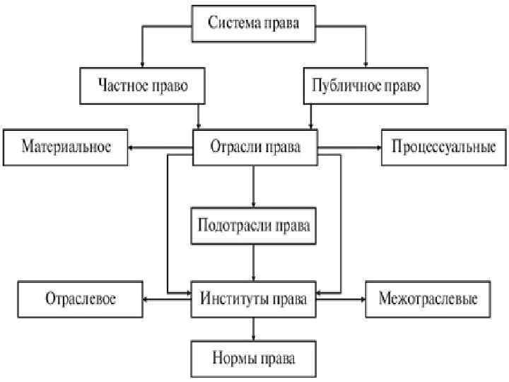 Составьте схему система законодательства