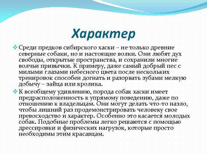 Характер v Среди предков сибирского хаски – не только древние северные собаки, но и