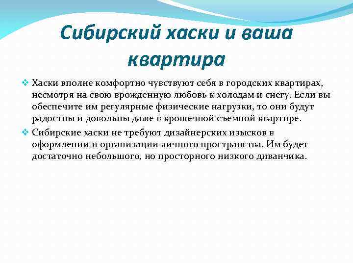 Сибирский хаски и ваша квартира v Хаски вполне комфортно чувствуют себя в городских квартирах,