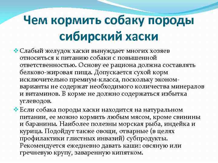 Чем кормить собаку породы сибирский хаски v Слабый желудок хаски вынуждает многих хозяев относиться