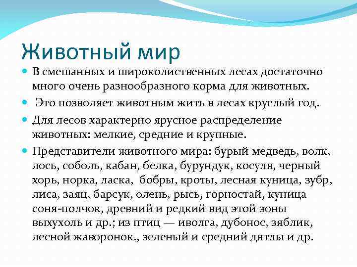 Животный мир В смешанных и широколиственных лесах достаточно много очень разнообразного корма для животных.