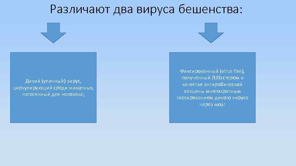 Различают два вируса бешенства: Дикий (уличный) вирус, циркулирующий среди животных, патогенный для человека; Фиксированный