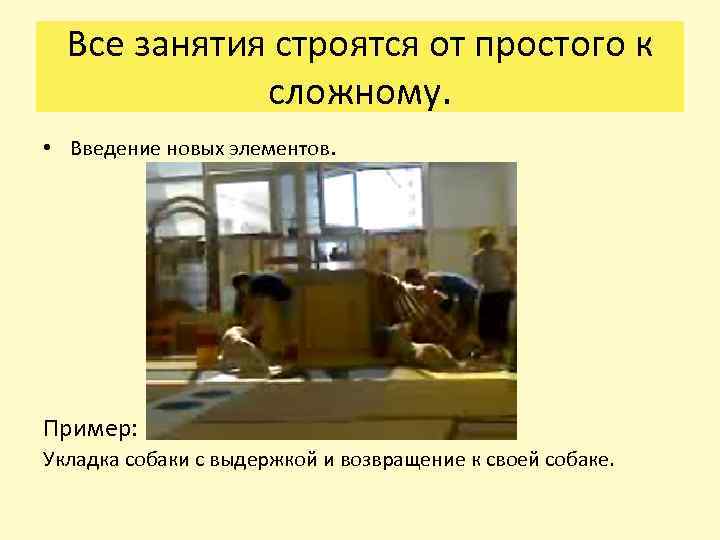 Все занятия строятся от простого к сложному. • Введение новых элементов. Пример: Укладка собаки
