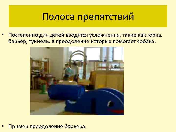 Полоса препятствий • Постепенно для детей вводятся усложнения, такие как горка, барьер, туннель, в