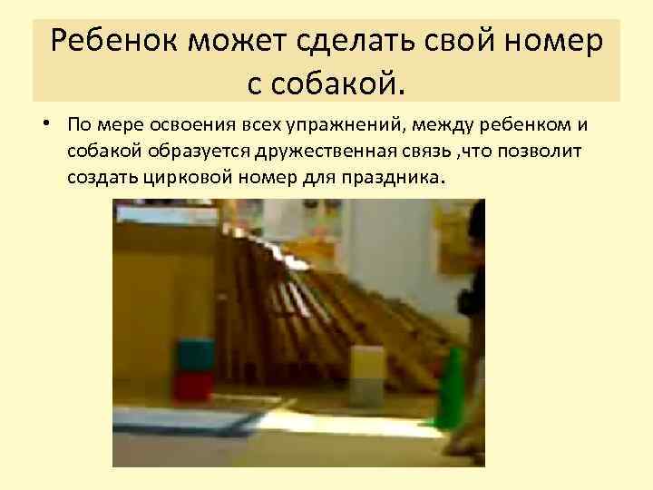 Ребенок может сделать свой номер с собакой. • По мере освоения всех упражнений, между