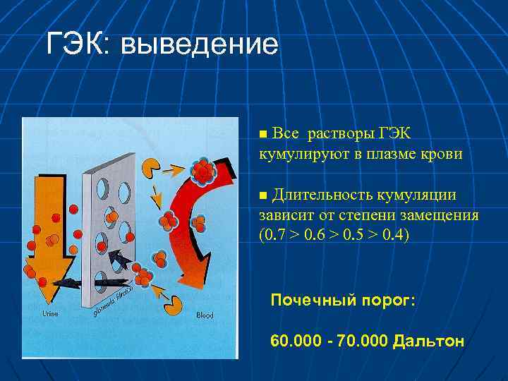 ГЭК: выведение Все растворы ГЭК кумулируют в плазме крови n Длительность кумуляции зависит от