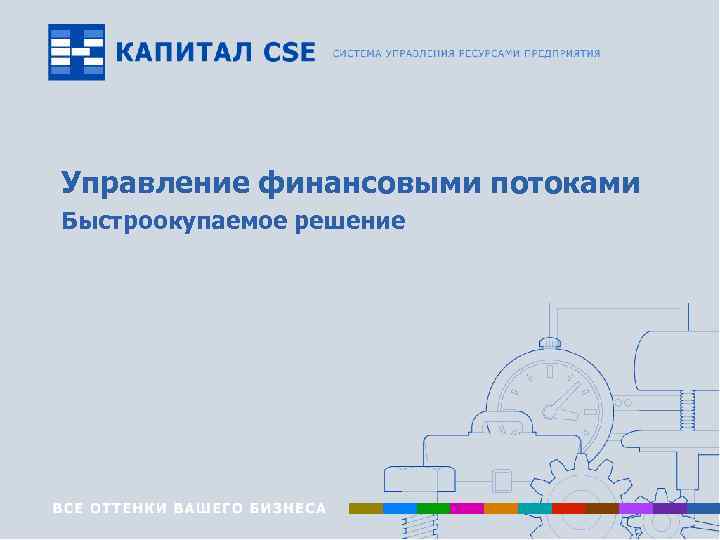 Управление финансовыми потоками Быстроокупаемое решение www. capitalcse. ru 