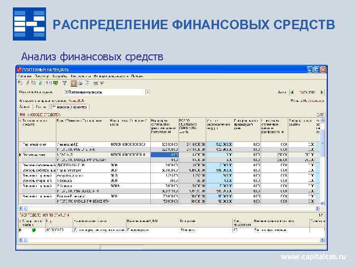 РАСПРЕДЕЛЕНИЕ ФИНАНСОВЫХ СРЕДСТВ Анализ финансовых средств www. capitalcse. ru 