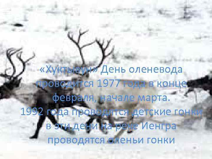  «Хуктывун» День оленевода проводится 1977 года в конце февраля, начале марта. 1992 года