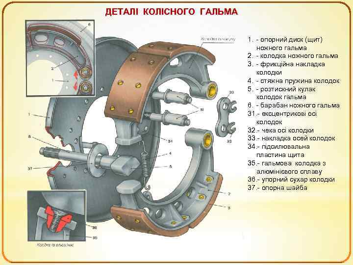 ДЕТАЛІ КОЛІСНОГО ГАЛЬМА 1. - опорний диск (щит) ножного гальма 2. - колодка ножного