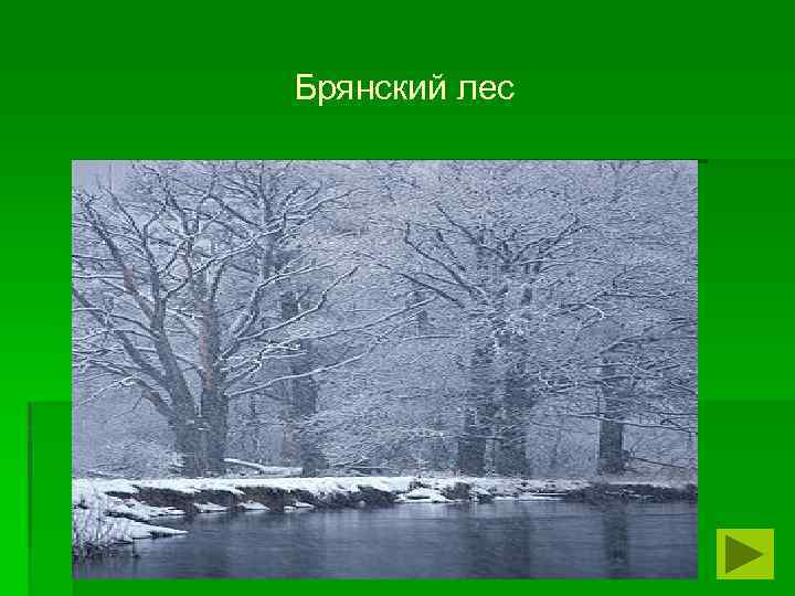 Брянский лес 