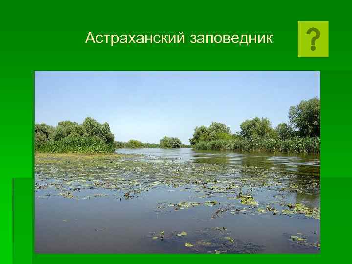 Астраханский заповедник что охраняет. Астраханский заповедник презентация. Заповедники России презентация Астраханский заповедник. Астраханский заповедник карта заповедника. Астраханский заповедник картинки для презентации.