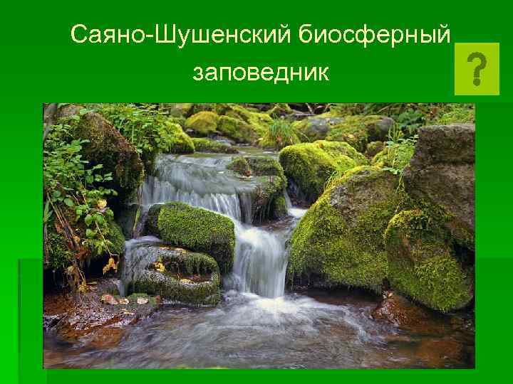 Саяно-Шушенский биосферный заповедник 